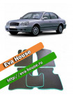 Автоковрики для Hyundai Sonata IV (2001-2012)